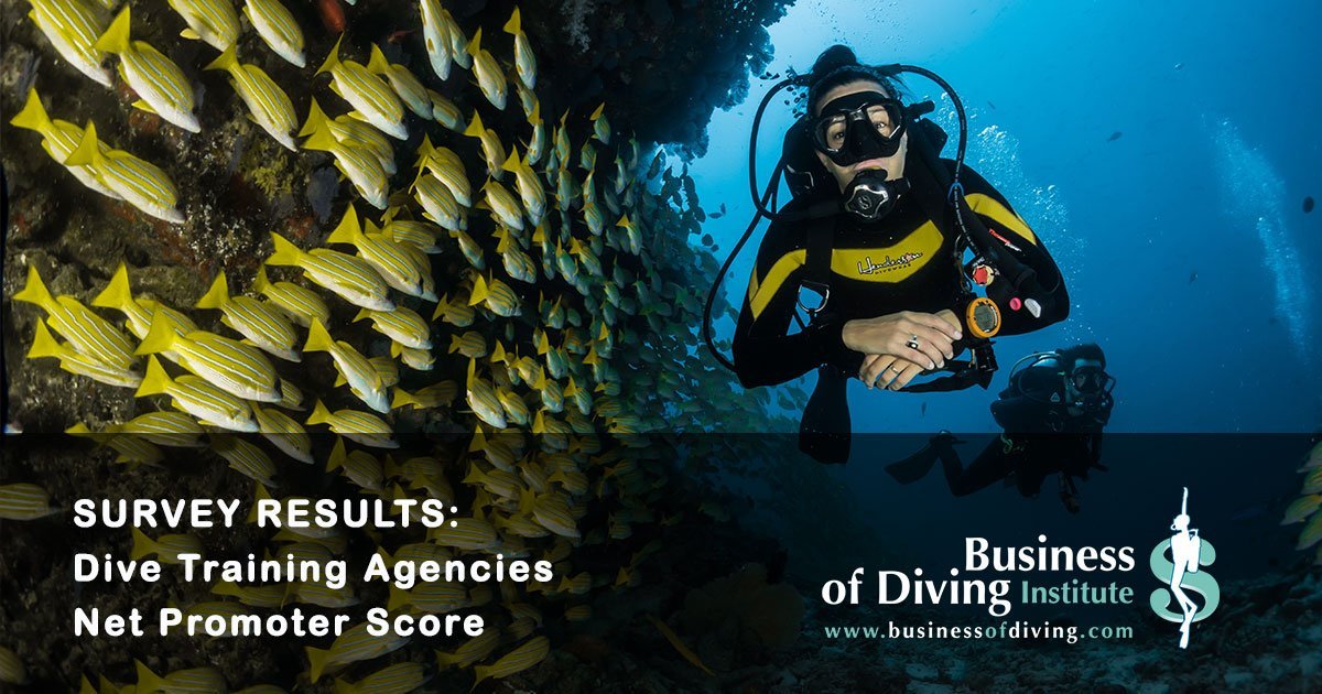 www.businessofdiving.com